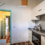 דירה Curry *